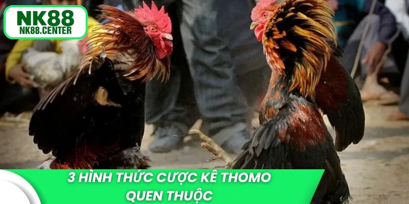 3 hình thức cược kê Thomo quen thuộc