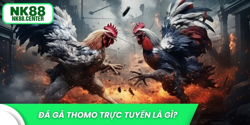 Đá gà Thomo trực tuyến là gì?